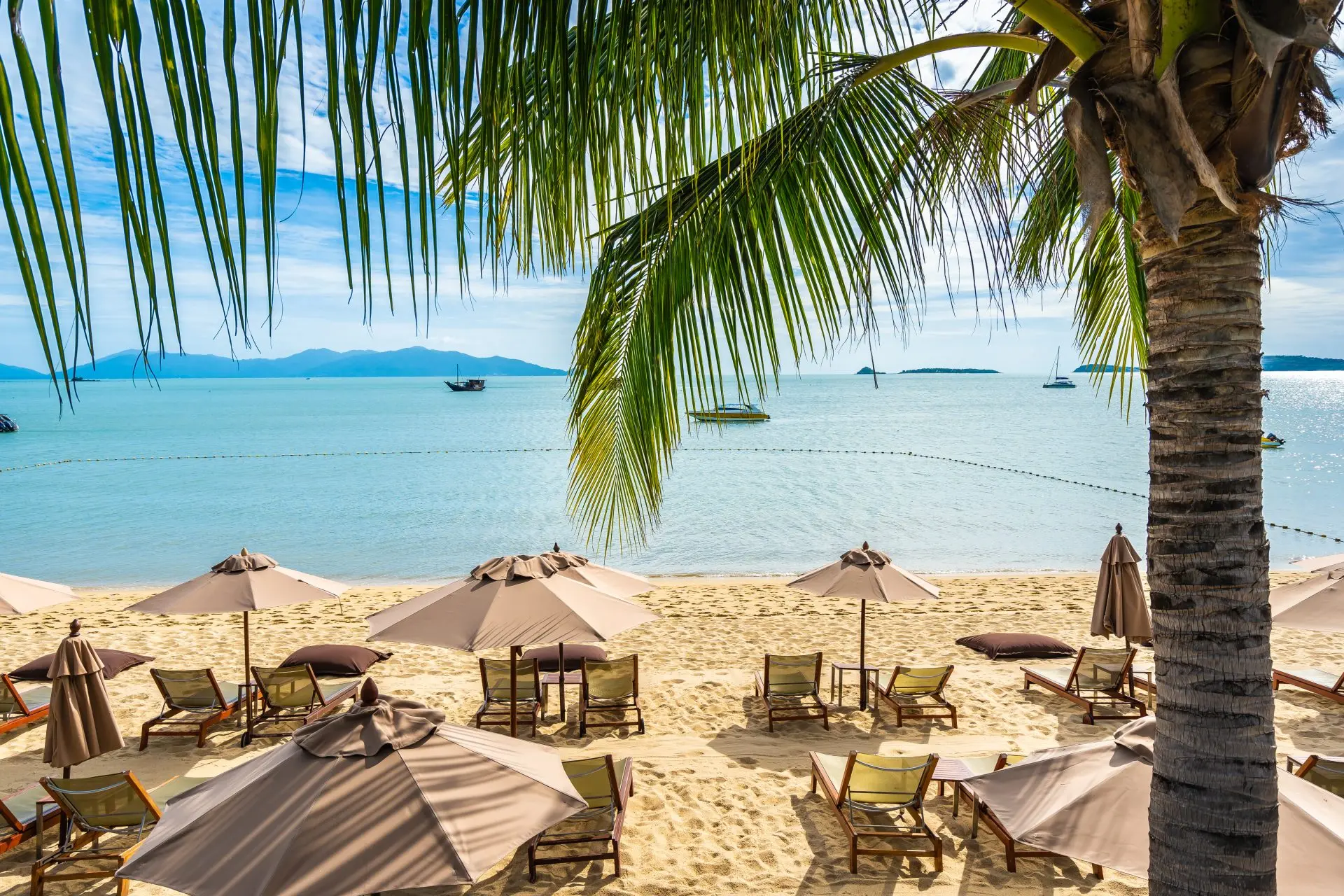 beautiful tropical beach sea ocean with coconut palm tree umbrella chair blue sky white cloud