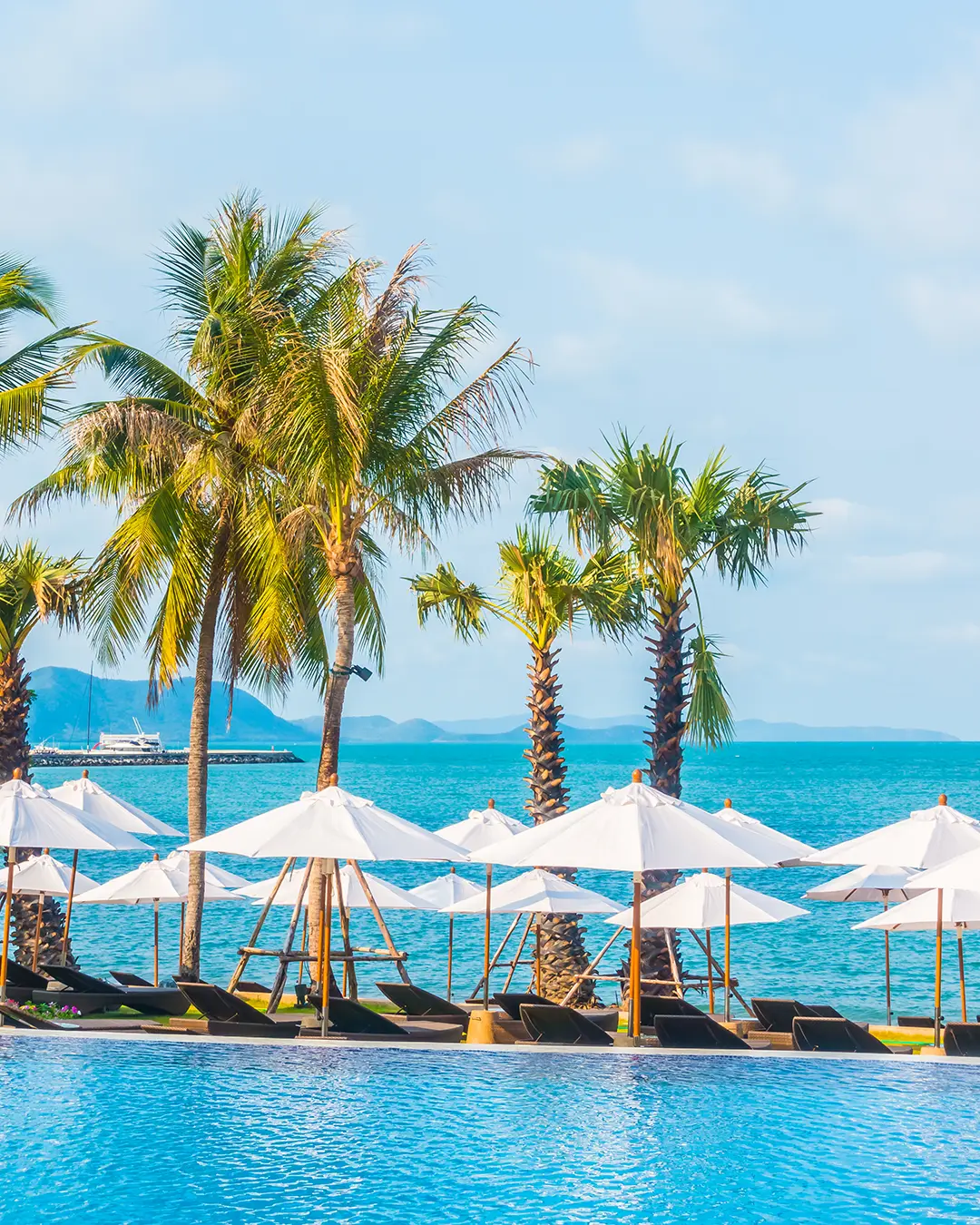 blue chair tropical relax resort копия