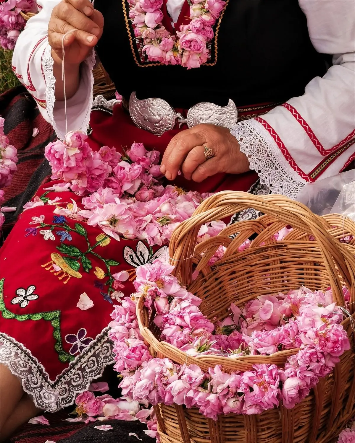 photo 2026 06 30 11.48.16 СІОН - туристична агенція Болгарія
